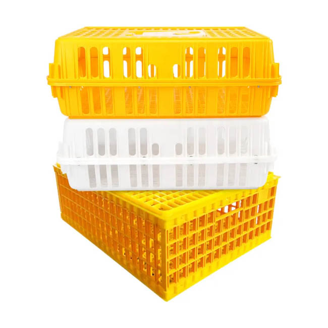 Transport Cage Accessories Molding