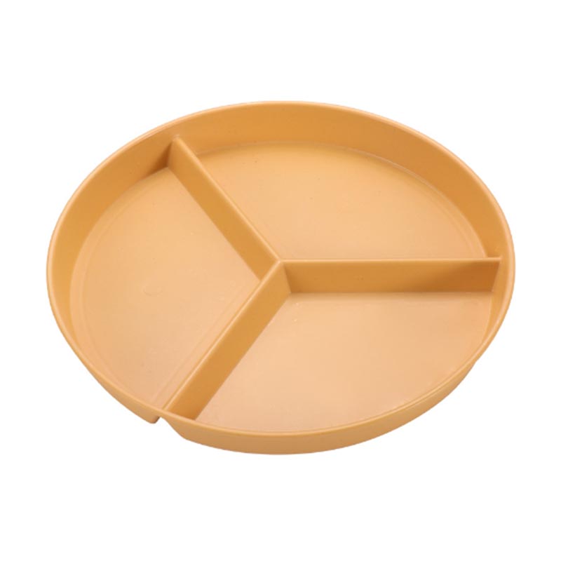 Plastic Dinner Plate Molding